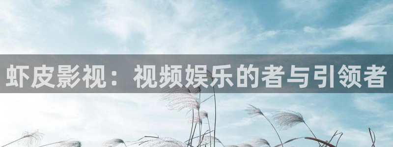 窝窝影视网2021年最新电视剧免费观看：虾皮影视：视频娱乐的者与引领者