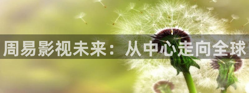 窝窝电视剧免费观看入口：周易影视未来：从中心走向全球