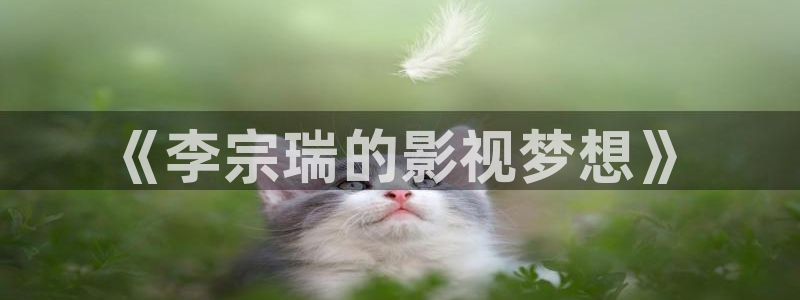 电影 窝窝：《李宗瑞的影视梦想》
