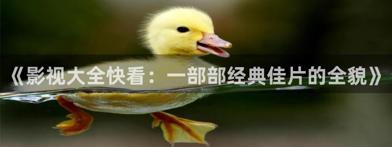 窝窝影院手机在线观看：《影视大全快看：一部部经典佳片的全貌》