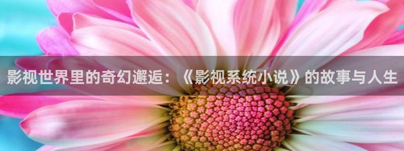 妹妹窝窝在线观看免费播放电视剧：影视世界里的奇幻邂逅：《影视系统小说》的故事与人生