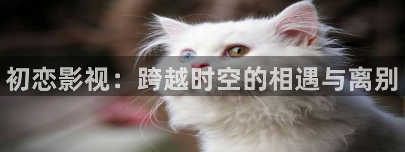 窝窝影院在线观看：初恋影视：跨越时空的相遇与离别