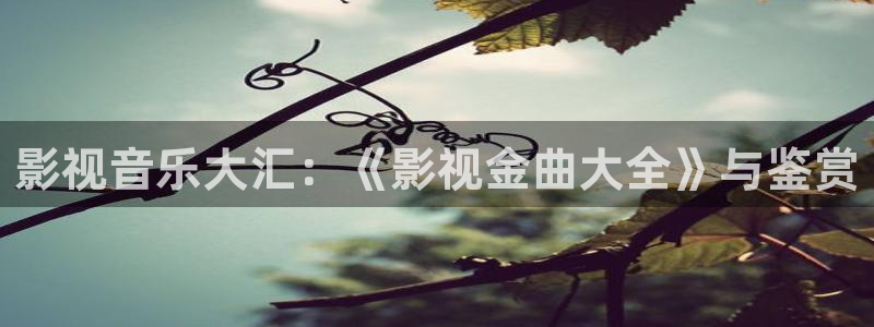 窝窝影院免费观看高清：影视音乐大汇：《影视金曲大全》与鉴赏
