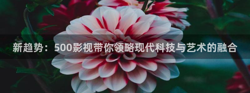 窝窝网看视频：新趋势：500影视带你领略现代科技与艺术的融合