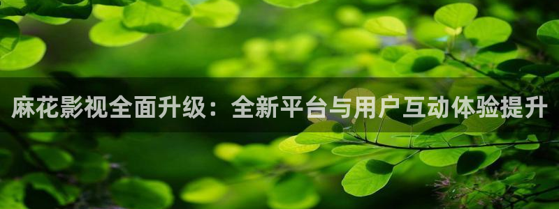 窝窝影院李宗瑞：麻花影视全面升级：全新平台与用户互动体验提升